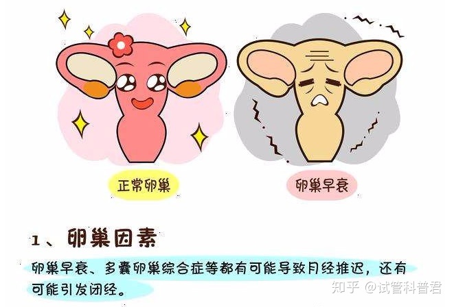北京借卵试管婴儿技术_北京市哪里可以做借卵试管婴儿，做一次要多少钱？