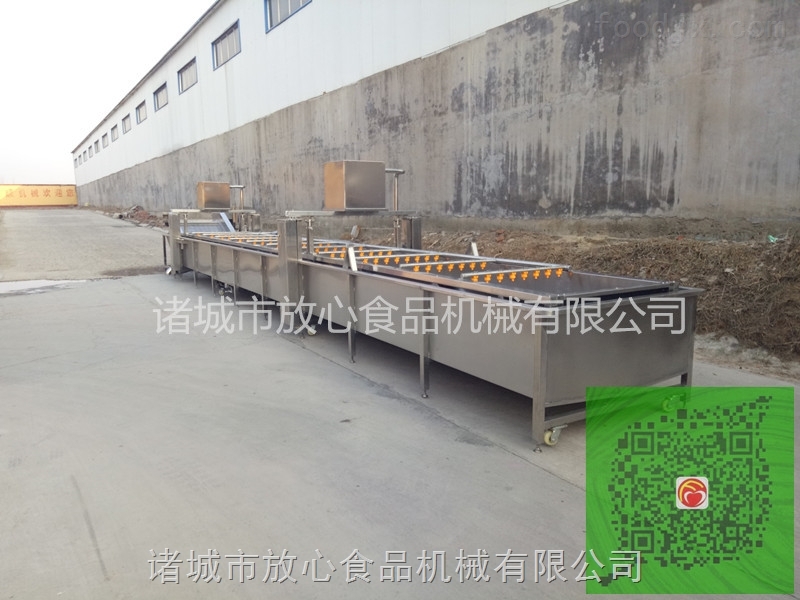 为什么我不能在泰国的借卵供卵试管公立中移植新鲜胚胎？