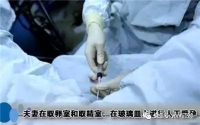 湘雅供卵试管二代多少钱