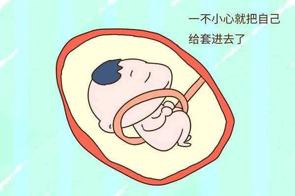 北京市借卵试管双胞胎优孕行怎么样