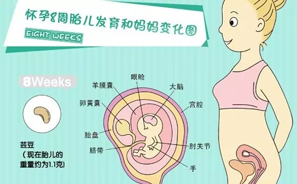 供卵试管婴儿几个月生孩子
