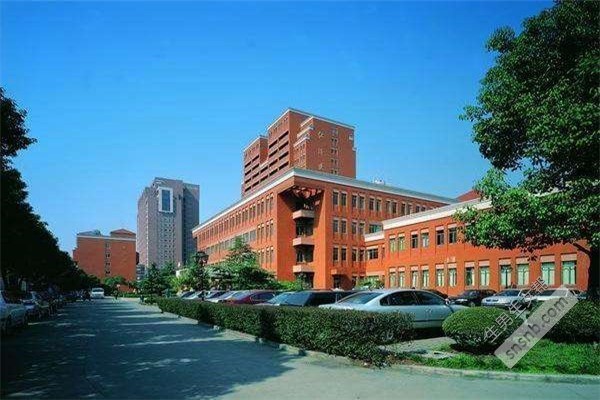 去国外做借卵试管婴儿违法吗