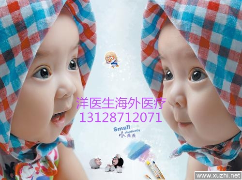 北京市借卵做试管婴儿哪个医院成功率最高