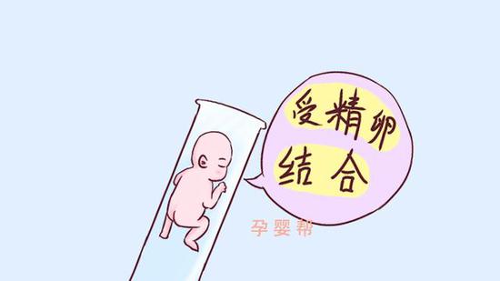 试管移植为什么容易出血