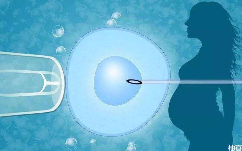 北京第三代试管代怀妈妈合同怀龙凤胎容易吗？