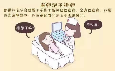 男性无精症可以医院供卵试管代怀咨询吗(不孕不育症状表现之一)