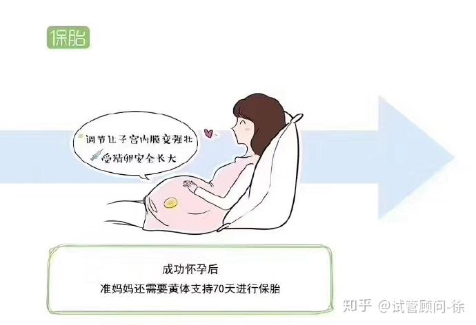 北京市三院国内借卵试管代怀合同成功率参考,2024三代助孕费用明细公布