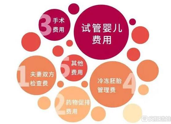 国内供卵试管代怀地址期间怎么请假_代生孩子公司机构指南婴儿怎么请假合理（逐个流程分析所需时间）
