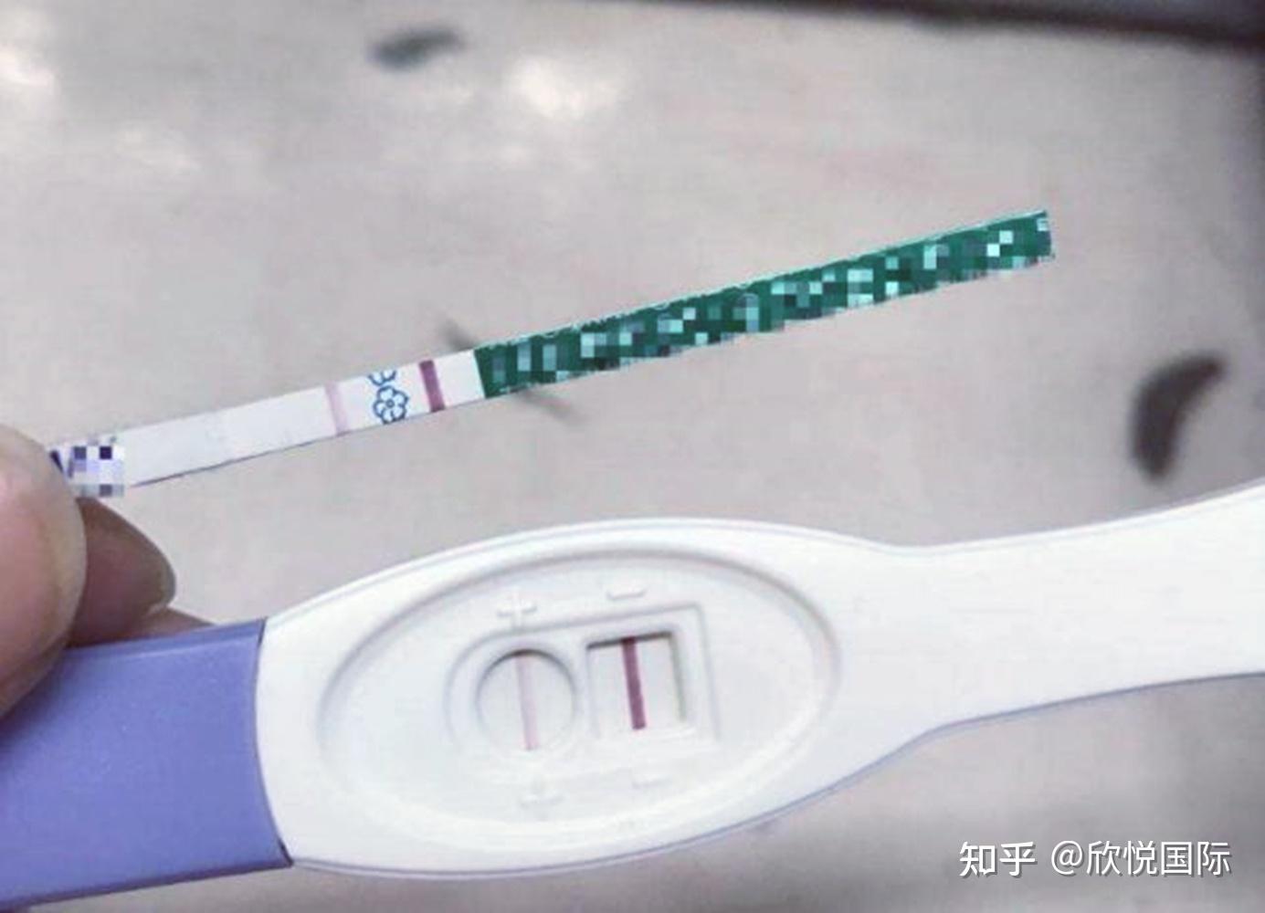 女明星未婚生子（单身未婚生子北京市女明星）