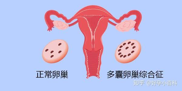 扒一扒北京试管医院排名,警惕骗局货比三家更靠谱