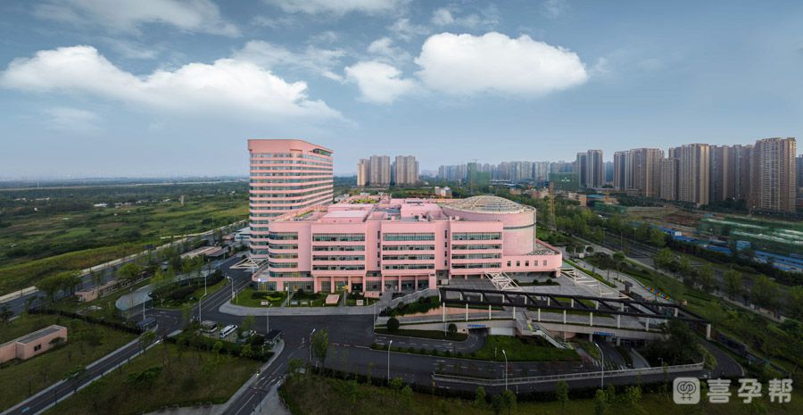 北京的北京试管中介+去北京代生小孩费用骗局