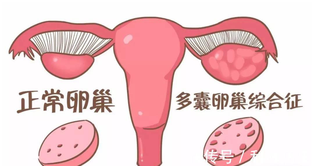 试管移植成功后会有什么症状