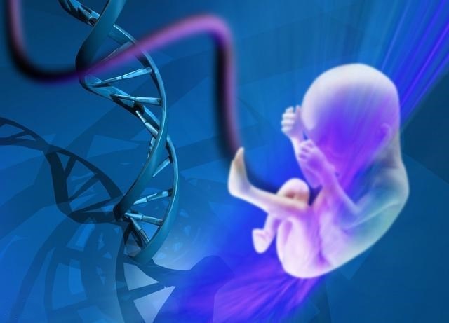 人工授精须要多少钱如何检查输卵管是否通畅