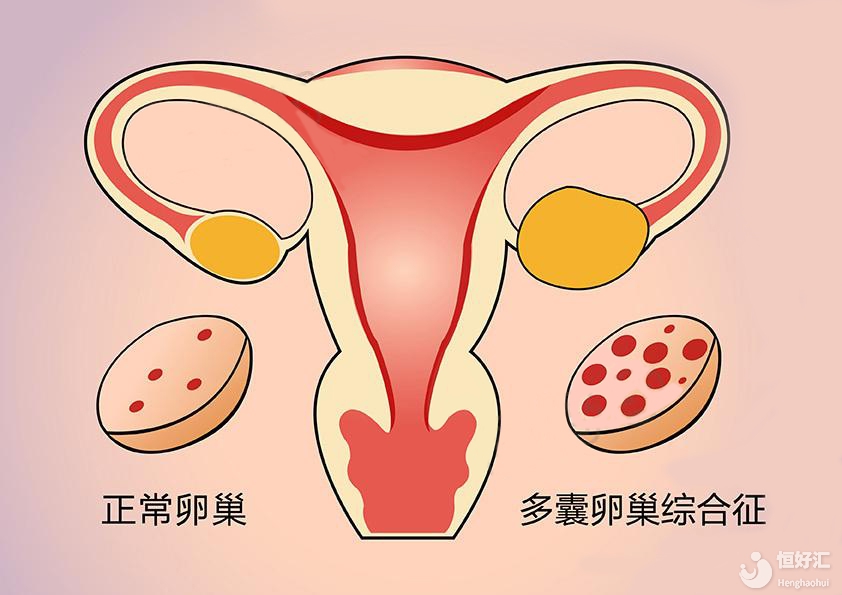 试管机构包男孩胚胎如何形成_如何提升第三代试管怀双胞胎胚胎成活率